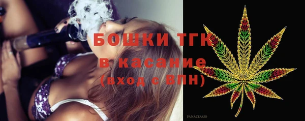 гашик Алексеевка