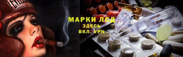 гашик Алексеевка