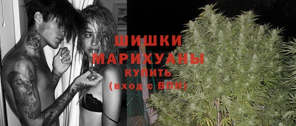 прущие грибы Абдулино