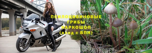ешки Алзамай