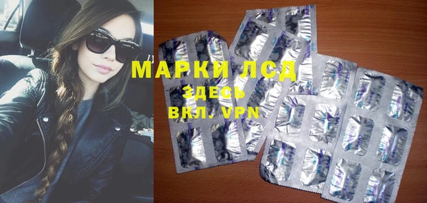 прущие грибы Абдулино