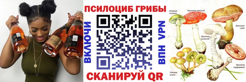 закладки  Нижняя Тура  Псилоцибиновые грибы GOLDEN TEACHER 